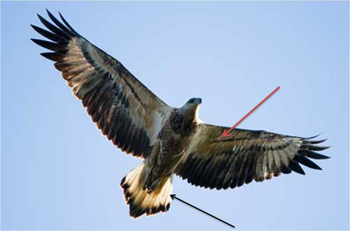 2nd comparison photo wbse.jpg