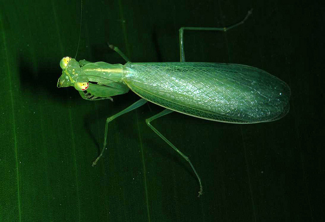 4058854603_cdf30cf4b4_z.jpg 4058854603_cdf30cf4b4_z.jpg