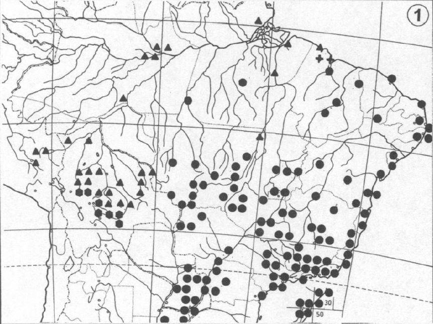 Cecropia pachy map.png