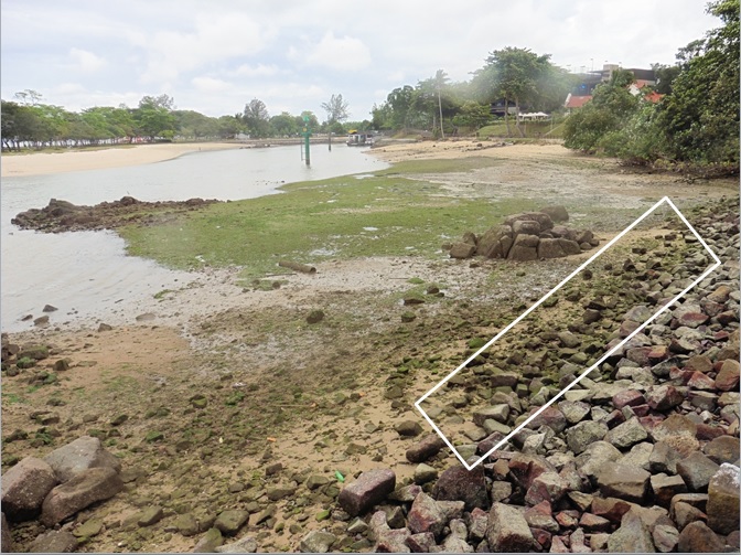 Changi_Rocky_Shore.jpg