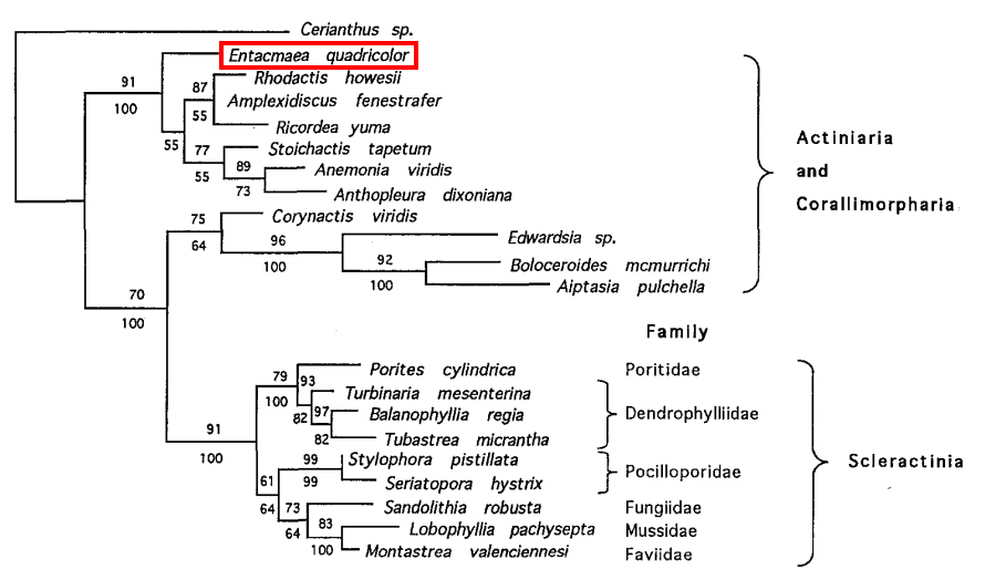 Chen et al, 1995.png