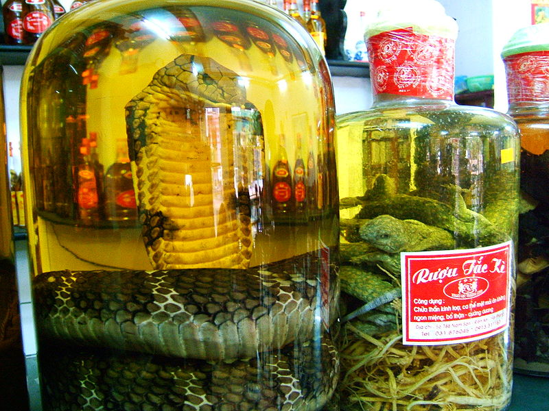 China_Snake_Wine.jpg