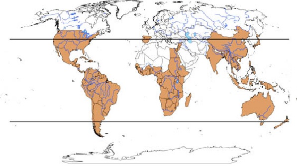 Distribution water hyacinth.jpg