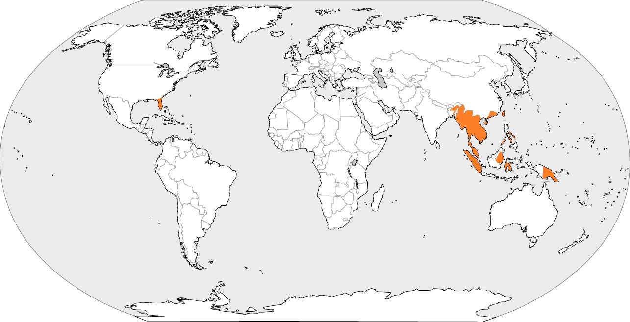 E.multifasciata_global_distribution.jpg