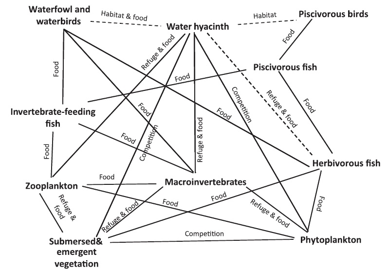Ecological impacts.jpg