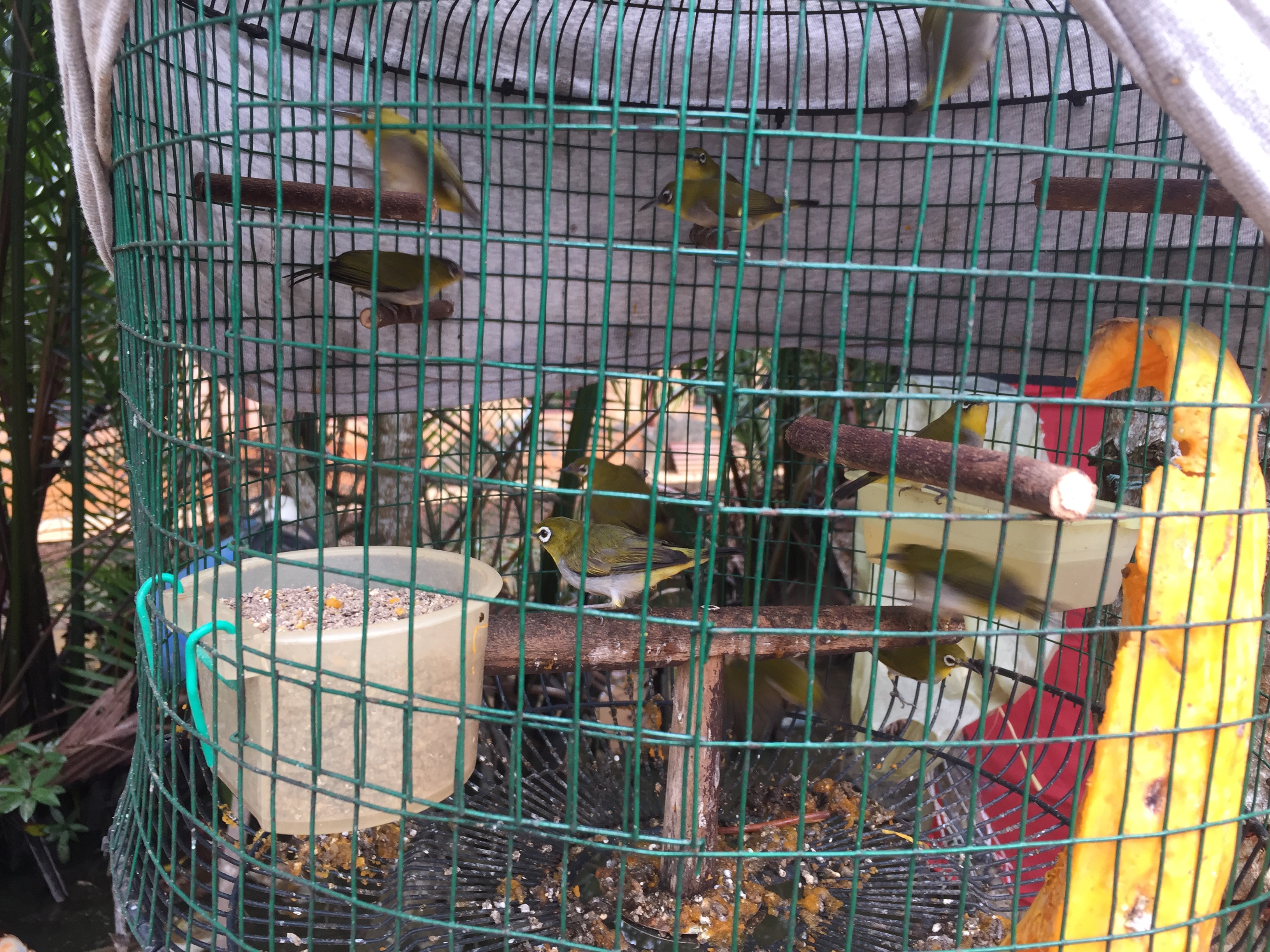 IMG_4270.JPG IMG_4270.JPG