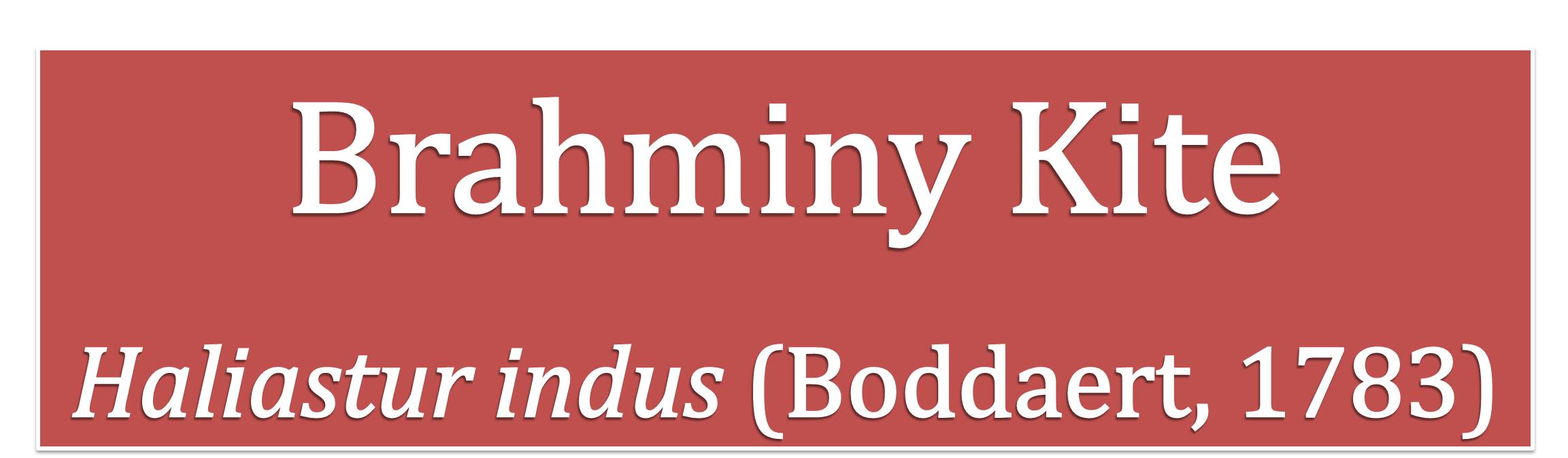 Intro pic (edited).jpg