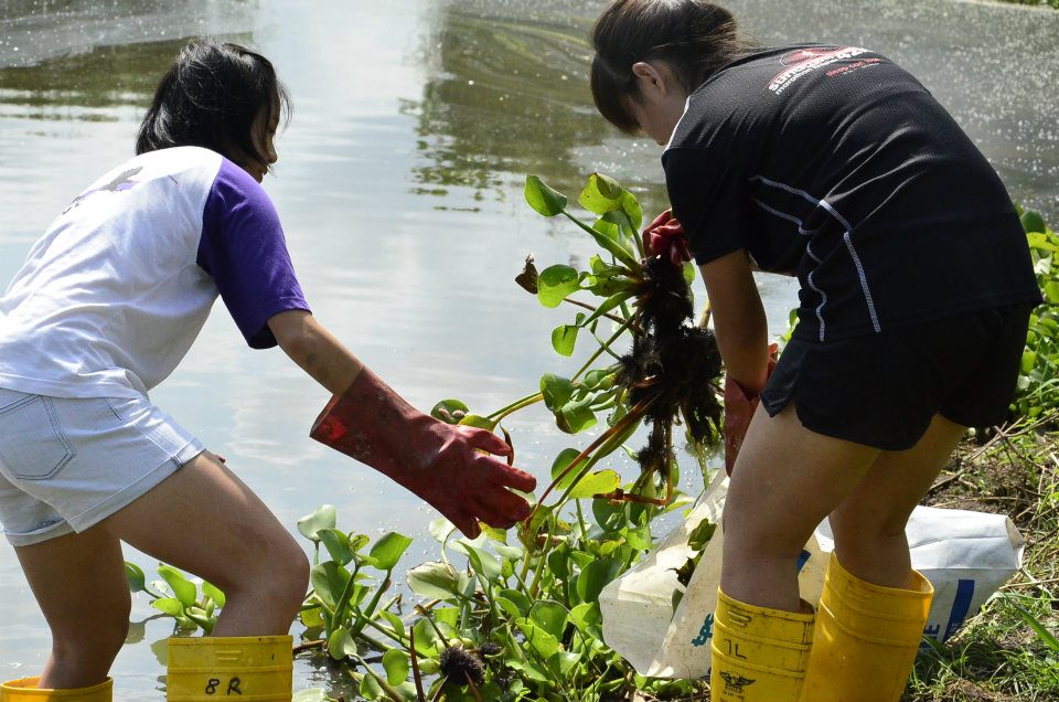 Kranji marshes volunteers.jpg