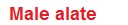 Label 2 caste.jpg