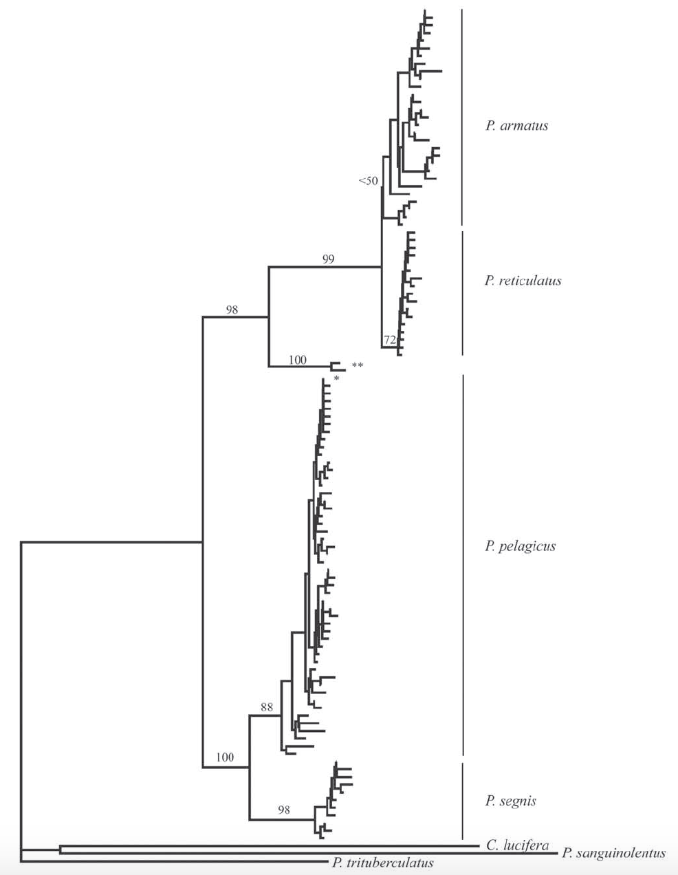 Lai et all 2010 Tree.png