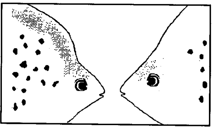 Male & Female.png Male & Female.png