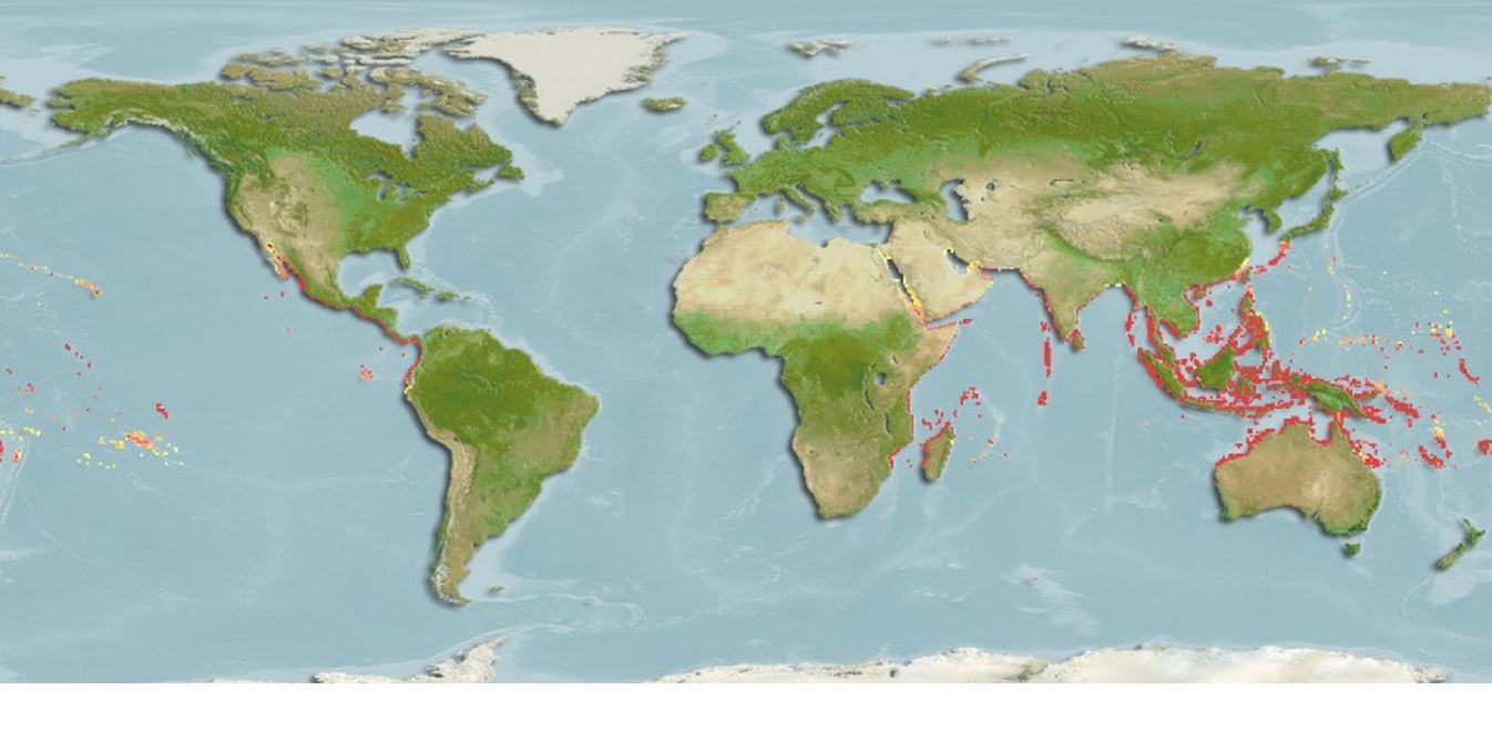 Map distribution2.jpg Map distribution2.jpg