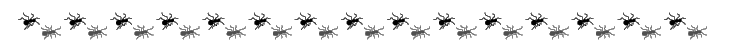 Proatta-butteli_section-break.gif Proatta-butteli_section-break.gif