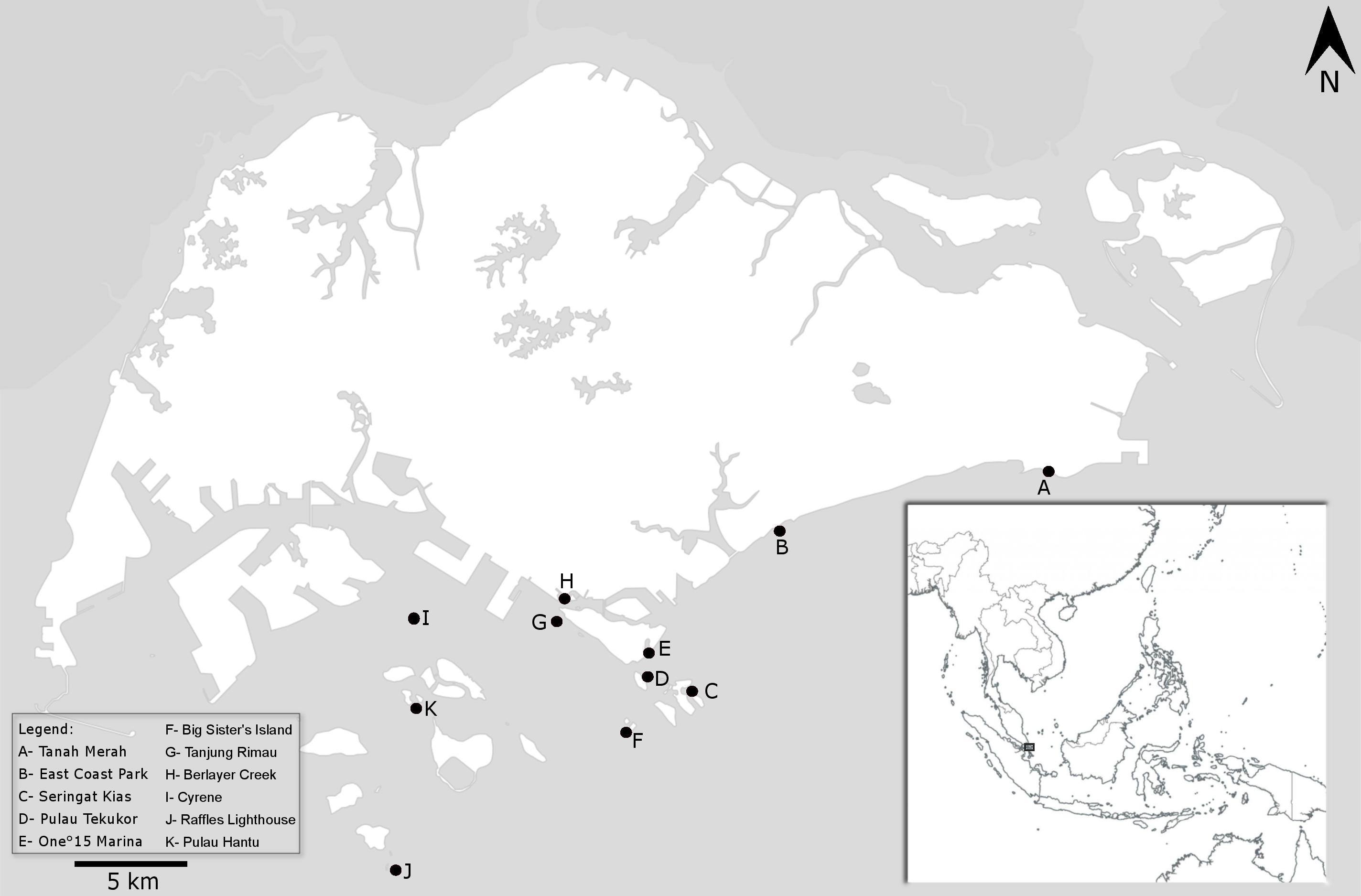 SargassumSG Fig1 Ver1.jpg SargassumSG Fig1 Ver1.jpg
