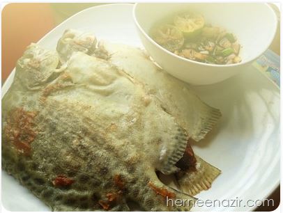 Scatfoodfish.JPG