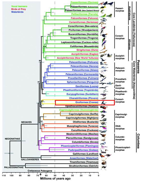Science 2014 Dec 346(6215) 1320-31, Fig. 1.jpg