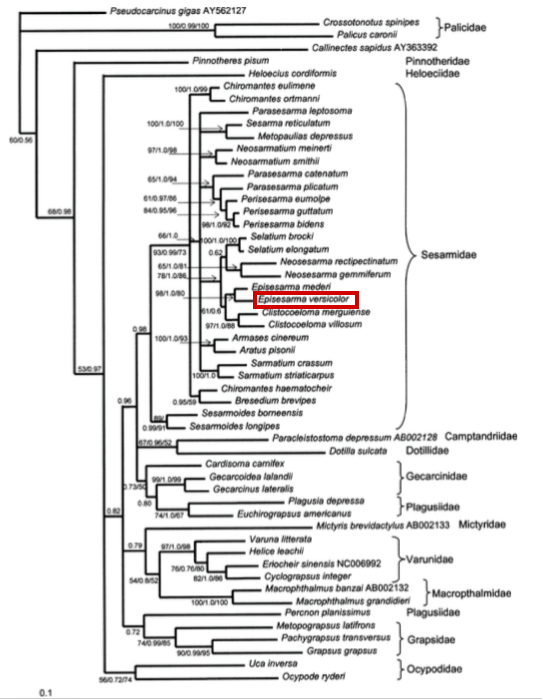 Screen Shot 2017-11-15 at 9.43.06 PM.png