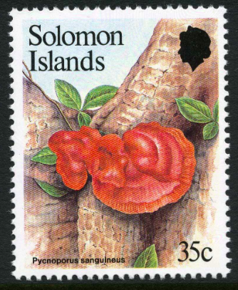 Screen Shot 2017-11-30 at 20.10.48.png Screen Shot 2017-11-30 at 20.10.48.png