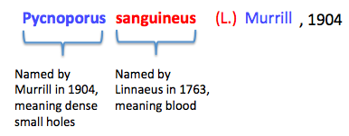Screen Shot 2017-11-30 at 20.23.25.png Screen Shot 2017-11-30 at 20.23.25.png