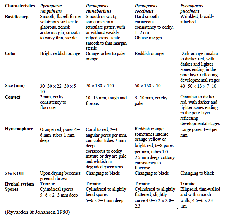 Screen Shot 2017-12-01 at 21.53.43.png Screen Shot 2017-12-01 at 21.53.43.png
