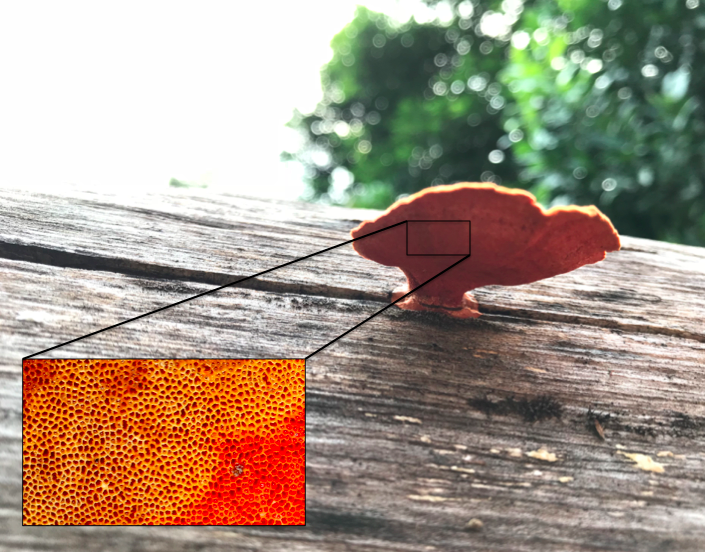 Screen Shot 2017-12-01 at 22.05.24.png Screen Shot 2017-12-01 at 22.05.24.png