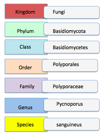 Screen Shot 2017-12-01 at 22.23.31.png Screen Shot 2017-12-01 at 22.23.31.png