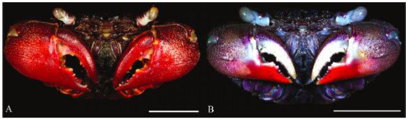 Screen Shot 2017-12-04 at 11.34.20 PM.png