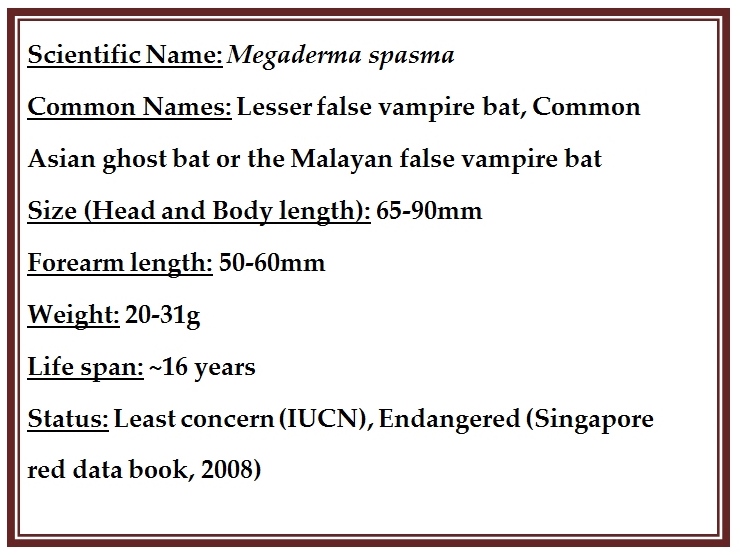 Screenshot 2013-11-25 22.51.49 (2).jpg