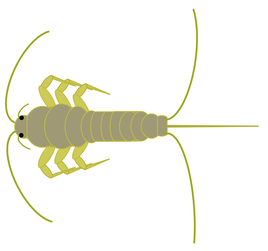 Silverfish.png Silverfish.png