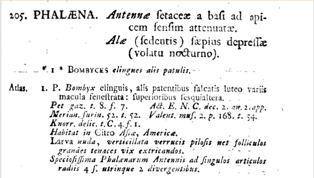 Species description.JPG Species description.JPG