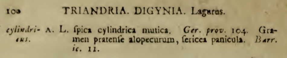 Systema Naturae.jpg Systema Naturae.jpg