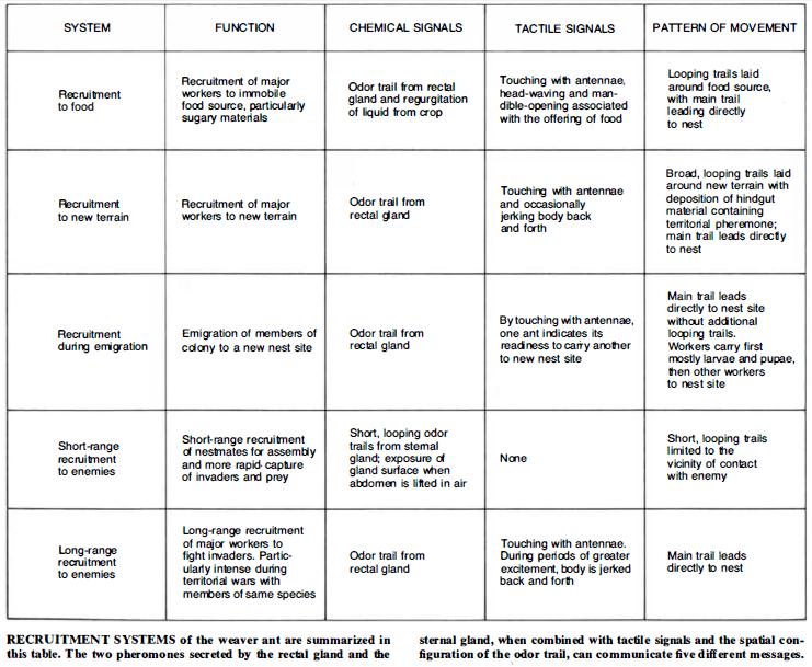 Table.jpg