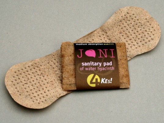 Water hyacinth pad.jpg