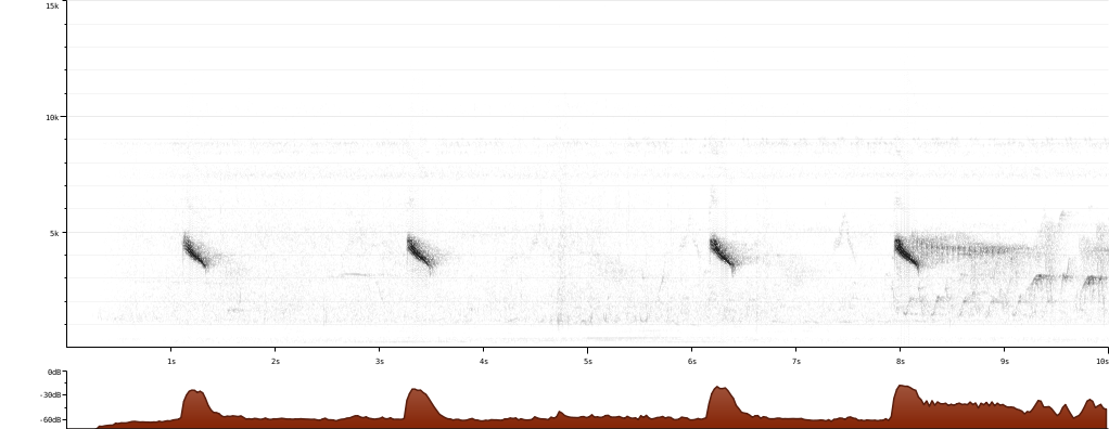 XC290957-large.png XC290957-large.png