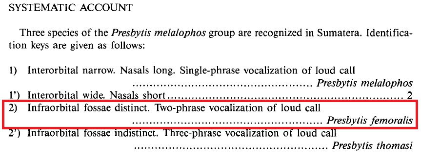 blmTaxo of Indo Presbytis.jpg