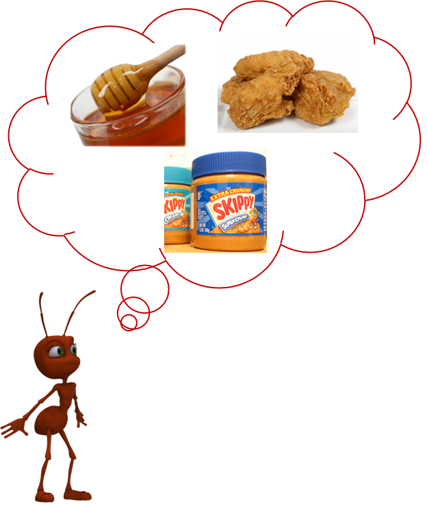 chy_food that pharaoh ants like to eat.png chy_food that pharaoh ants like to eat.png