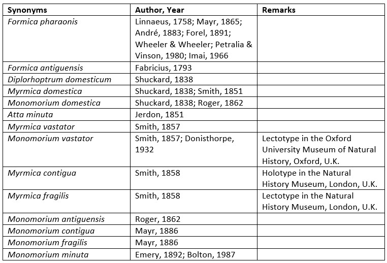chy_table of synonyms 7.jpg chy_table of synonyms 7.jpg