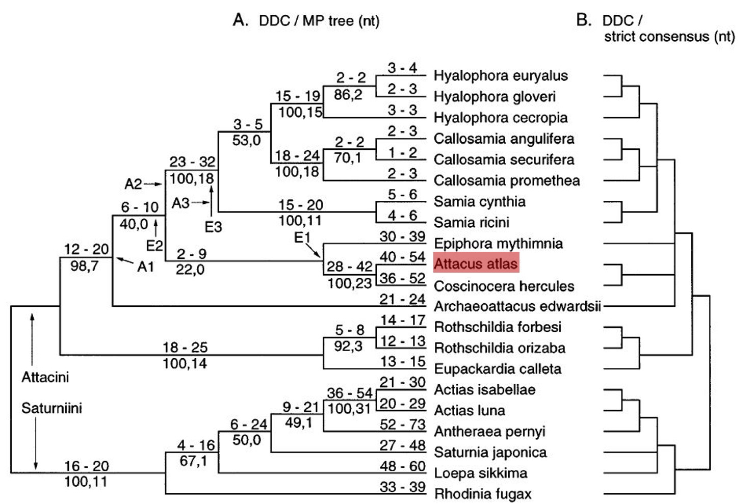 figure 2 attacine using ddc.JPG figure 2 attacine using ddc.JPG