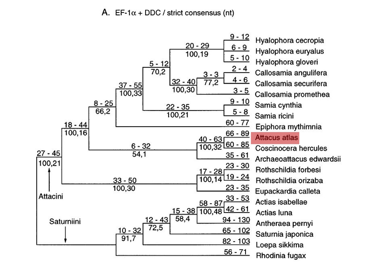 figure 4 final combined attacine.JPG figure 4 final combined attacine.JPG