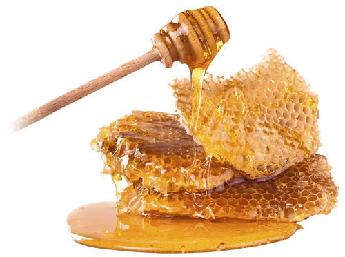 honey.png honey.png