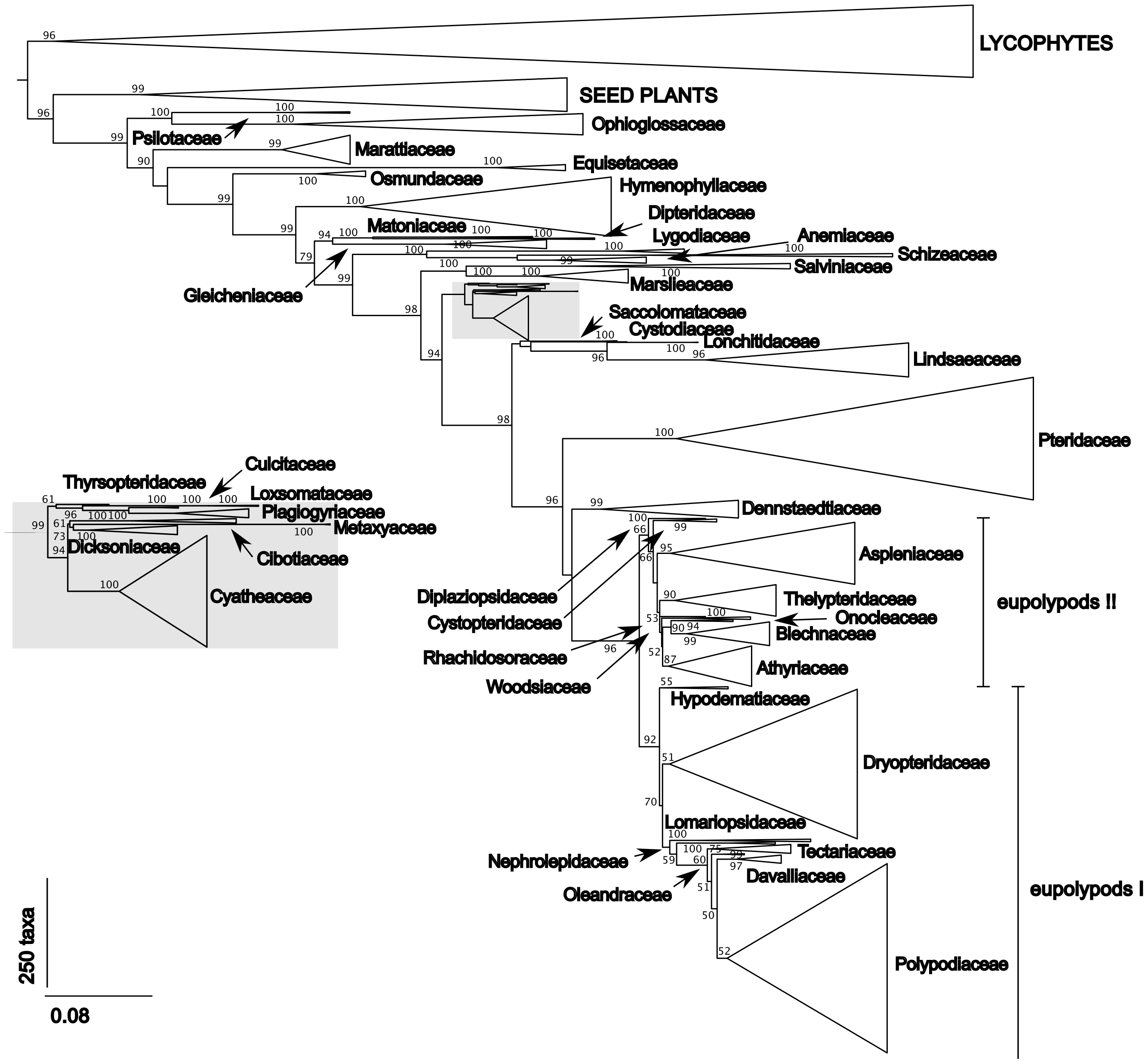 journal.pone.0024851.g001 (1).png