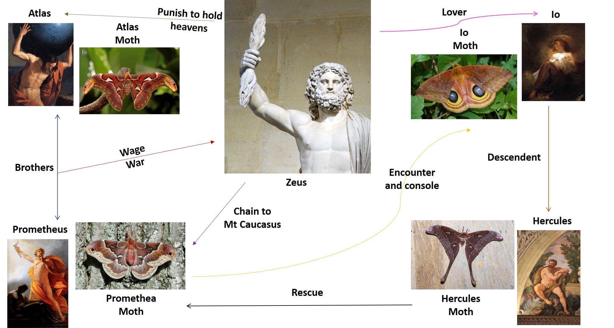 myth myth myth atlas moth.jpg myth myth myth atlas moth.jpg