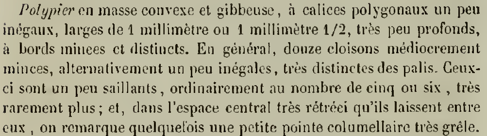 original description.png