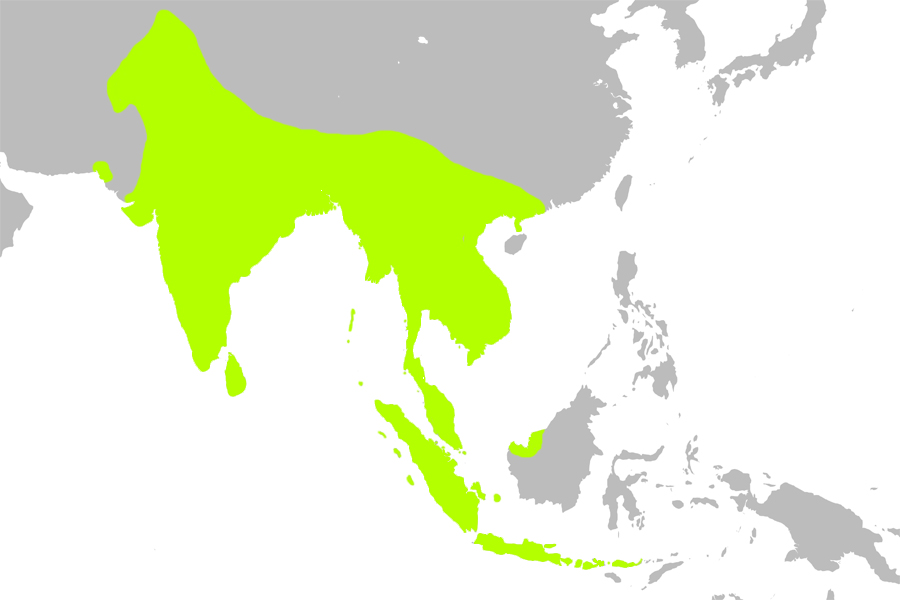 own map dist.jpg own map dist.jpg