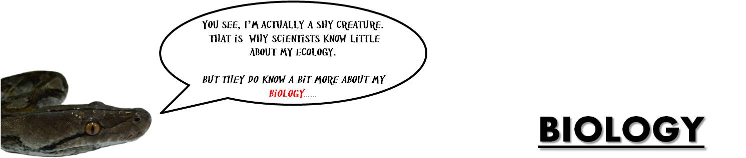 python_-_biology.jpg