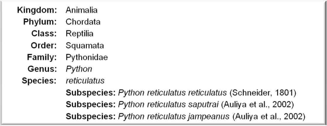 python_-_classificatio.jpg