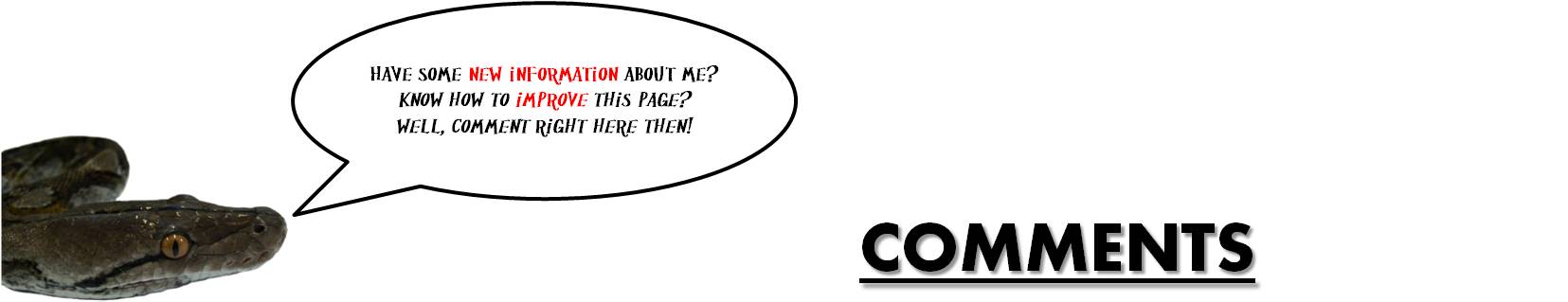 python_-_comments.jpg