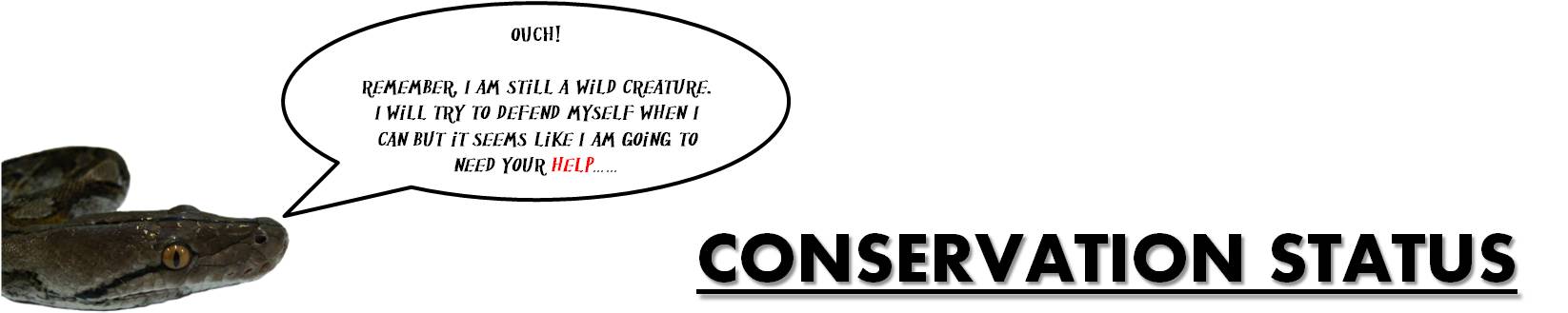 python_-_conservation.jpg
