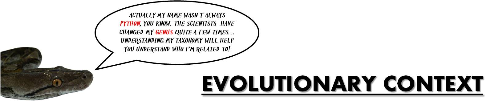 python_-_evolutionary_context.jpg