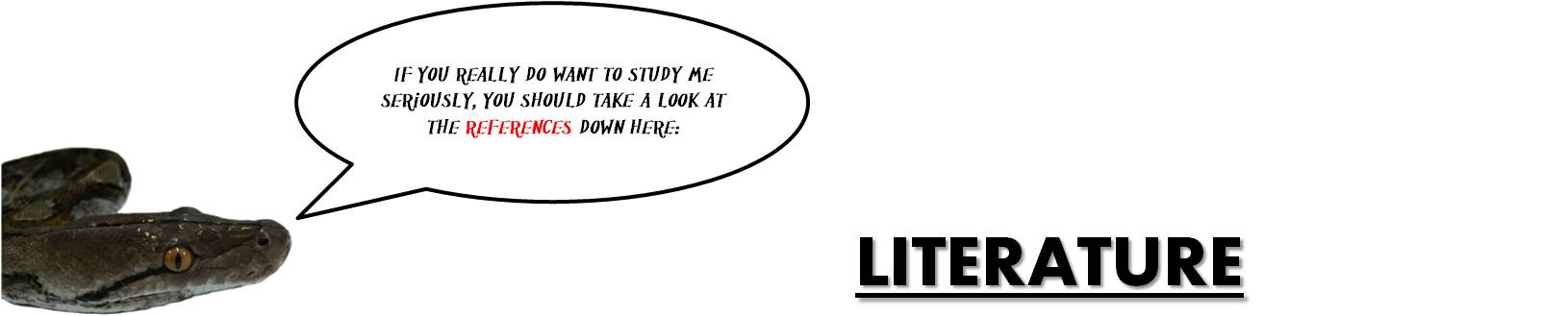 python_-_literature.jpg
